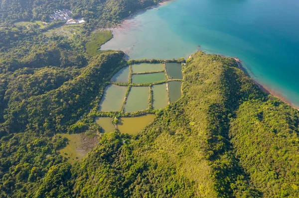 Una Toma Aérea Una Piscifactoría Medio Las Colinas Junto Mar — Foto de Stock