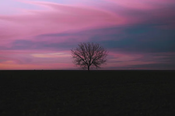 Ένα Όμορφο Ηλιοβασίλεμα Πίσω Από Σιλουέτα Ενός Γυμνού Δέντρου Στο — Φωτογραφία Αρχείου