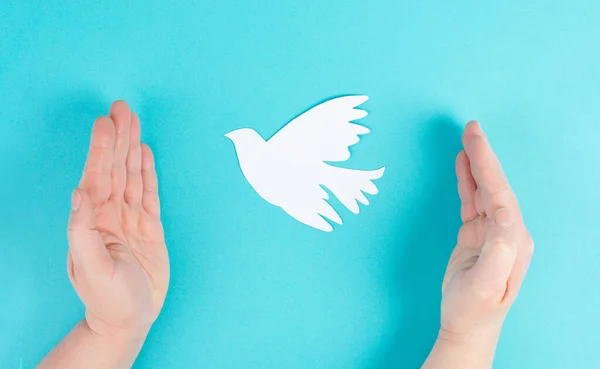 Holding a white dove in the hands, symbol of peace, paper cut out pigeon, copy space for text, blue colored background