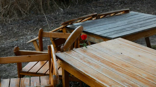 Samotna Czerwona Róża Drewniane Stoły Krzesła Zewnątrz — Zdjęcie stockowe