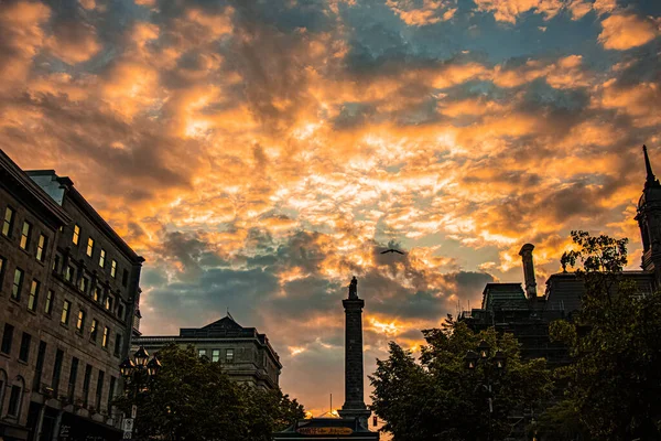 Colpo Basso Edifici Moderni Durante Tramonto — Foto Stock