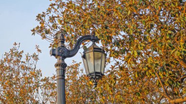 Santiago, Şili 'de güneşli bir günde, düşen ağaçlara ve mavi gökyüzüne karşı siyah bir sokak fenerinin güzel bir görüntüsü.