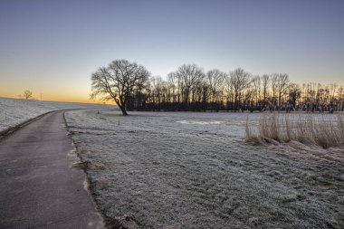 Ağaçların ve otların siluetleriyle dolu tarlada parlak turuncu bir günbatımı
