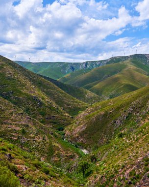 Portekiz, Arouca 'da yeşil çimlerle kaplı yüksek dağların ve tepelerin manzaralı bir görüntüsü.