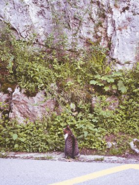 Güneşli yaz günlerindeki gibi.