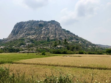Devasa kayalıklara karşı tarlaların manzarası. Villupuram, Tamil Nadu, Hindistan.