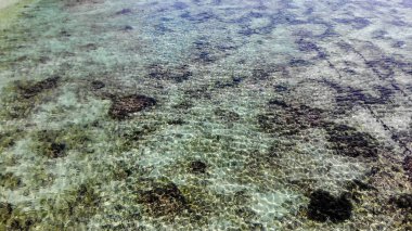 Gün ışığında deniz yüzeyindeki suyun yakın çekim görüntüsü.