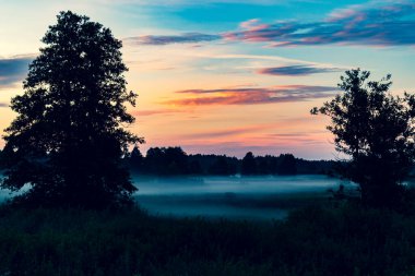 Beyaz Rusya, Minsk 'te günbatımında ağaçların siluetlerinin manzarası