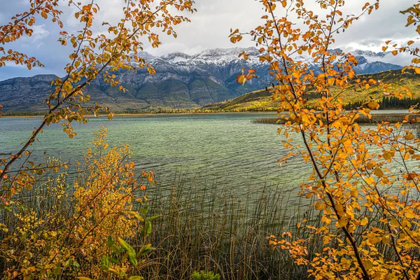 Ein Faszinierender Blick Auf Herbstbäume Mit Einem Fluss Und Bergen — Stockfoto