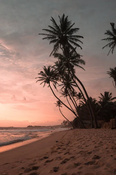 Eine Vertikale Aufnahme Von Palmen Strand Bei Sonnenuntergang — Stockfoto