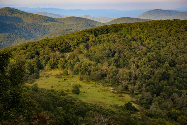 Uma Vista Aérea Uma Bela Floresta Perto Das Montanhas — Fotografia de Stock