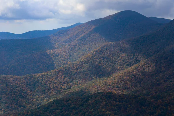 Una Vista Aérea Hermoso Bosque Cerca Las Montañas —  Fotos de Stock