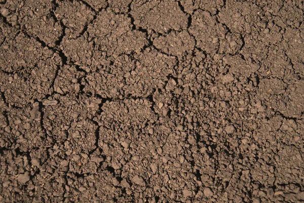 乾いた地面の質感のクローズアップショット — ストック写真