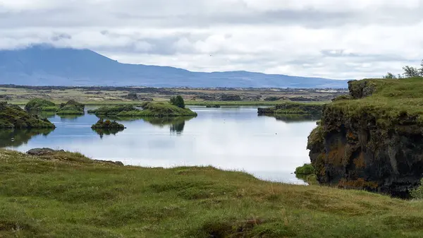 Pequeño Lago Rodeado Exuberante Hierba Verde Plantas Islandia —  Fotos de Stock