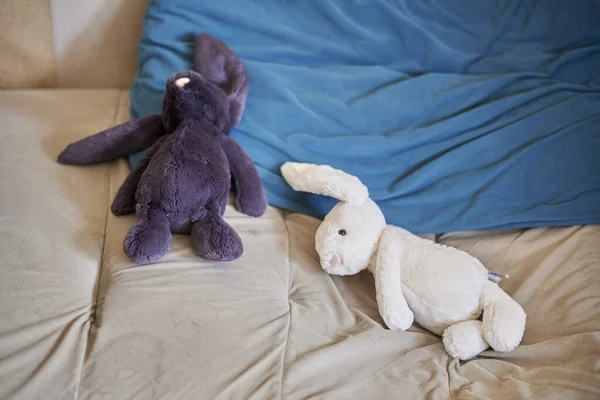 Dos Conejos Felpa Marca Que Yacen Sofá Con Una Almohada —  Fotos de Stock