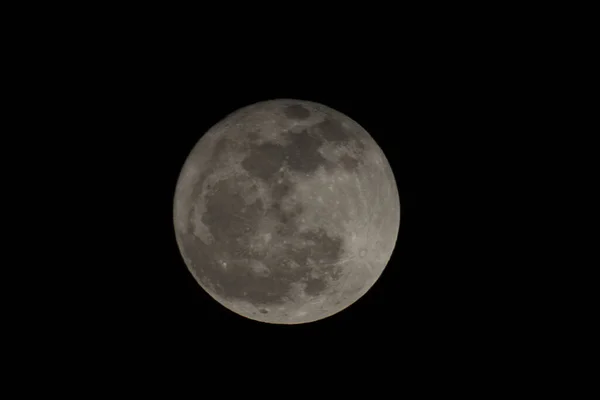 Gros Plan Lune Imbécile Nuit Avec Fond Noir — Photo