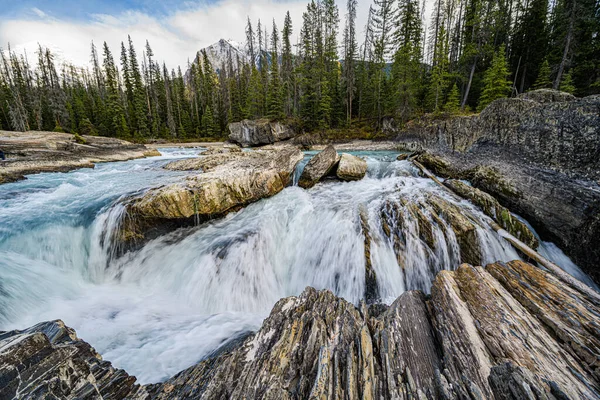 Der Fluss Mit Felsen Vor Dem Hintergrund Von Kiefern Kanadische — Stockfoto