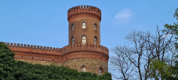 Una Torre Del Palacio Medieval Kamieniec Zabkowicki Contra Cielo Azul — Foto de Stock