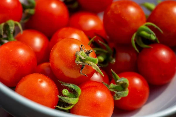 Närbild Körsbärstomater Skål — Stockfoto