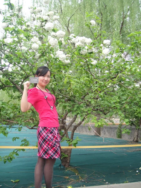 在中国北京北海公园 一个开着白花的女孩和植物 — 图库照片