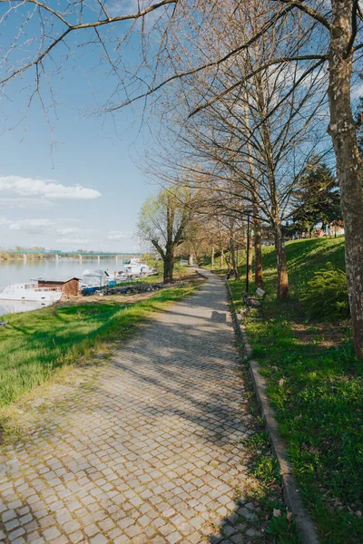 Parvin Gölü 'ndeki liman, Güney Jersey' nin çayırlarından geçiyor..