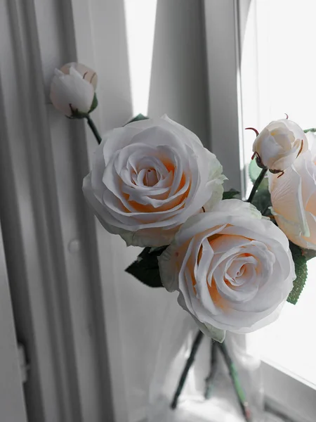 A closeup of white roses in a room