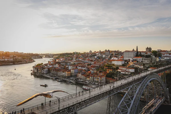 Живописный Вид Мост Через Реку Окруженный Жилыми Домами Порту Португалия — стоковое фото