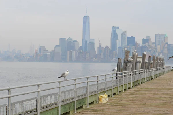 Malebný Pohled Holuby Usazené Zábradlí Moře Newyorských Mrakodrapů — Stock fotografie
