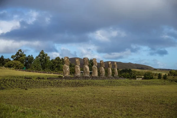 Una Vista Panorámica Antiguas Estatuas Piedra Moai Isla Pascua Chile — Foto de Stock