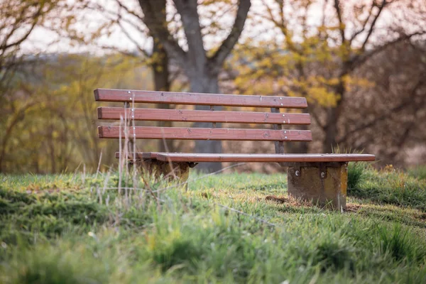 Een Close Van Een Houten Bank Een Park — Stockfoto