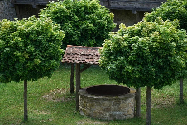 Vysokoúhlý Záběr Kamenného Kamna Gril Střechou Obklopenou Zelenými Stromy Zahradě — Stock fotografie