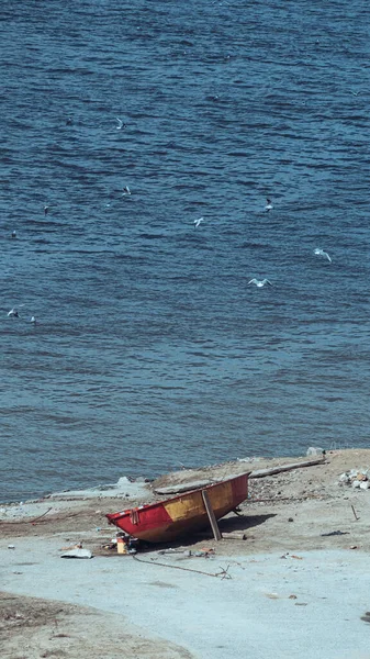 Een Oude Boot Aan Kust Meeuwen Die Het Water Vliegen — Stockfoto