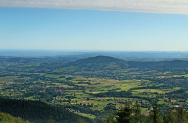 Tepelerdeki yeşil sık ormanlardan oluşan güzel bir manzara.