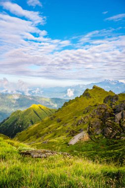 Bulutlu bir gökyüzünün altındaki çimenli dağlarla güzel bir dağlık manzaranın dikey görüntüsü.