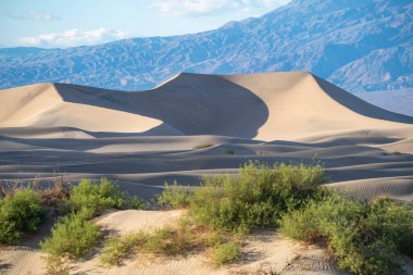 Ölüm Vadisi, Doğu Kaliforniya, Mojave Çölü, ABD 'deki dağlara karşı kum tepeleri..