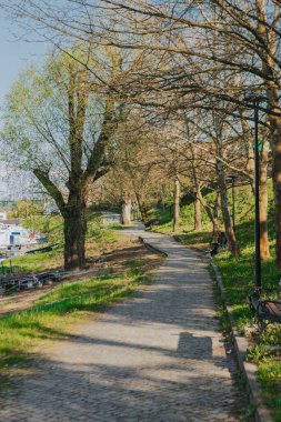 Baharın güneşli bir gününde park manzarası