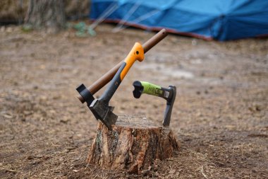 Kesik bir ağaç gövdesindeki baltalardan oluşan bir seçici