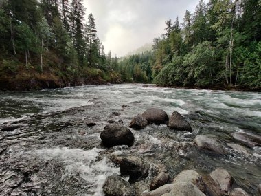 Fraser River 'daki kayalar, Boston Bar' daki ağaçlar ve bulutlu gökyüzü British Columbia 'da