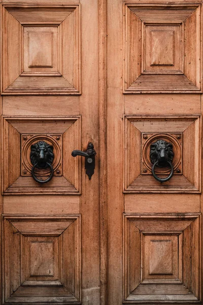 Colpo Verticale Una Porta Legno Con Due Grandi Porta Leone — Foto Stock