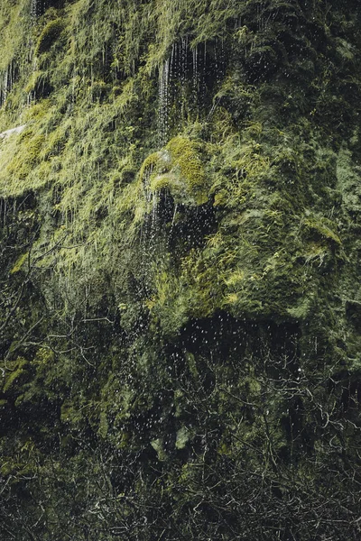 Une Belle Scène Eau Coulant Sur Rocher Recouvert Bois Verts — Photo