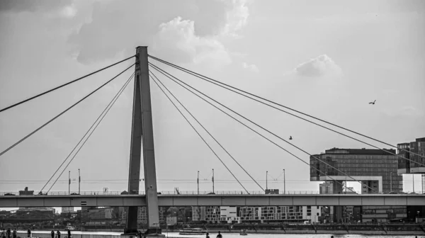 Skala Szarości Vansu Bridge Łotewski Vansu Tilts Rydze Która Przecina — Zdjęcie stockowe
