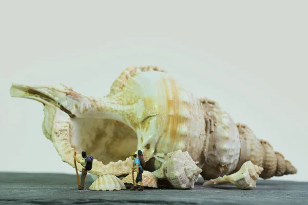 两个带着手杖和背包的徒步旅行者正站在一座白色的巨大的海贝壳房子前 — 图库照片