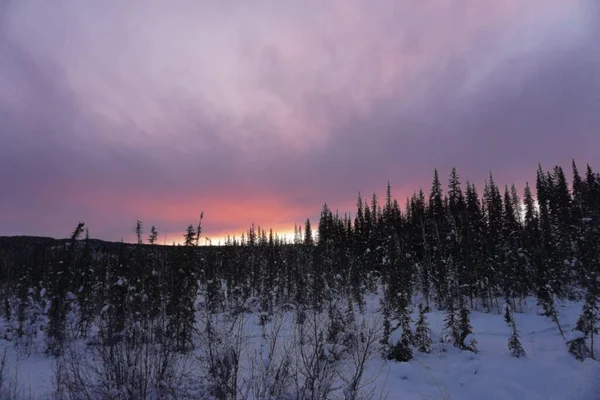 Una Puesta Sol Bosque Alaska Luces Del Norte — Foto de Stock