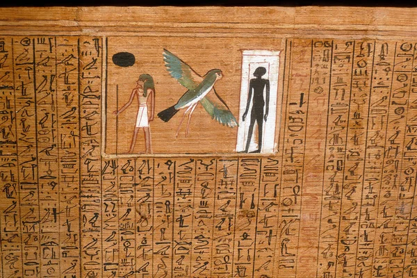 エジプトの墓や寺院の壁に刻まれた石のクローズアップショット — ストック写真