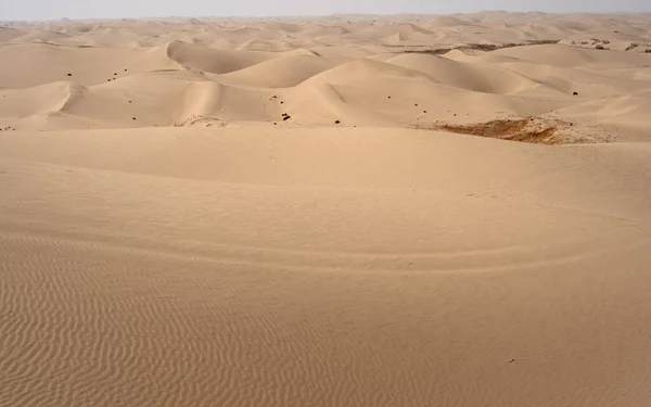 Beau Paysage Avec Des Dunes Dans Désert — Photo