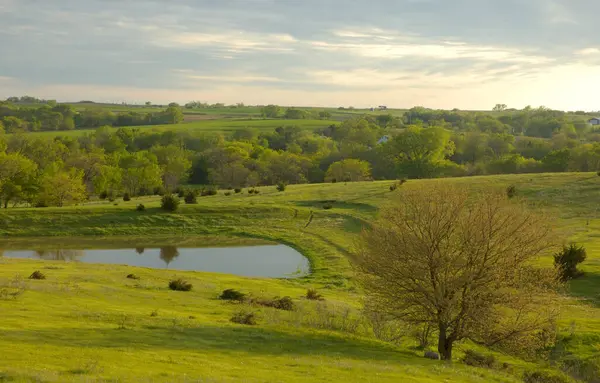 Uma Bela Paisagem Vista Uma Árvore Sem Folhas Perto Uma — Fotografia de Stock