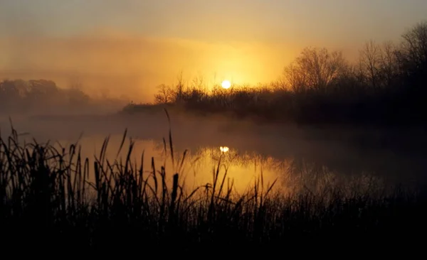 Prachtige Zonsopgang Boven Het Moeras — Stockfoto