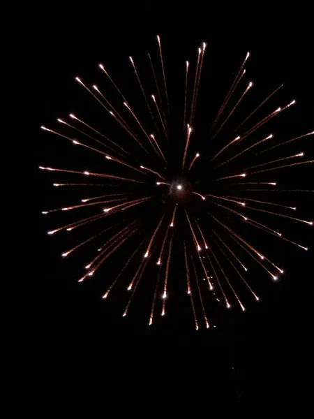 Ein Großes Rotes Feuerwerk Dunklen Nachthimmel — Stockfoto