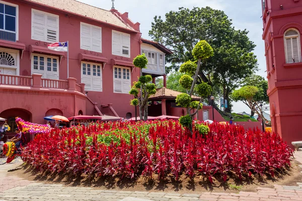 Melaka Malaisie Octobre 2012 Belles Fleurs Argent Rouge Peigne Fleurissant — Photo