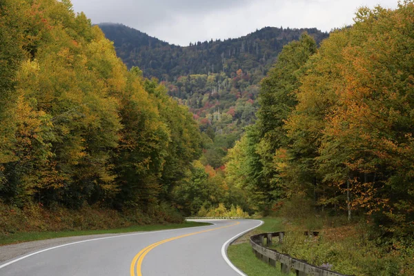 Извилистая Дорога Густом Осеннем Лесу Горах — стоковое фото